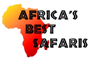 Africa's Best Safaris